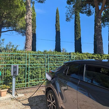 Poggio Verde Castiglione del Lago Zewnętrze zdjęcie